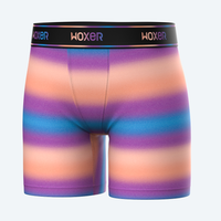 Baller High Waisted Airbrushed Ombre