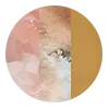 Star Desert 3-Pack