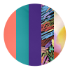 Baller Collective 5-Pack
