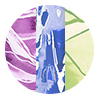 Star Ripple Effect 3-Pack