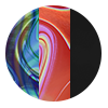 Biker High Waisted Spectrum 3-Pack