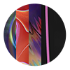 Biker High Waisted Spectrum 5-pack