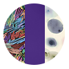 Bikini Collective 3-Pack