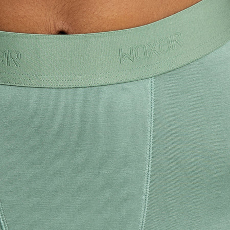 Biker High Waisted Wild Sage