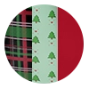 Biker High Waisted Pine 3-Pack