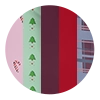 Classic Peppermint 5-Pack
