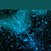 Nebula Mint